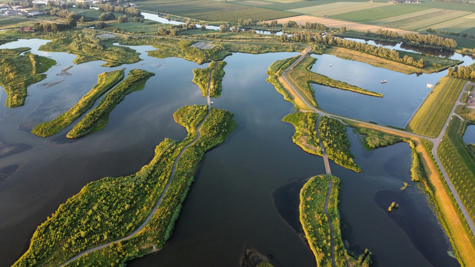 Biesbosch 1
