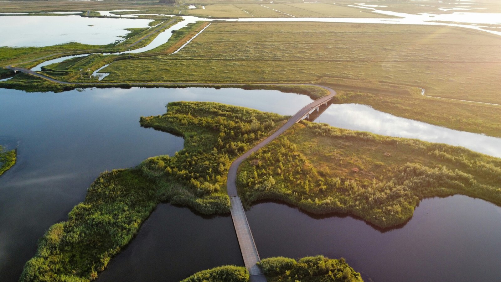 Varen en cultuur in de Biesbosch: Het ultieme dagje uit op het water