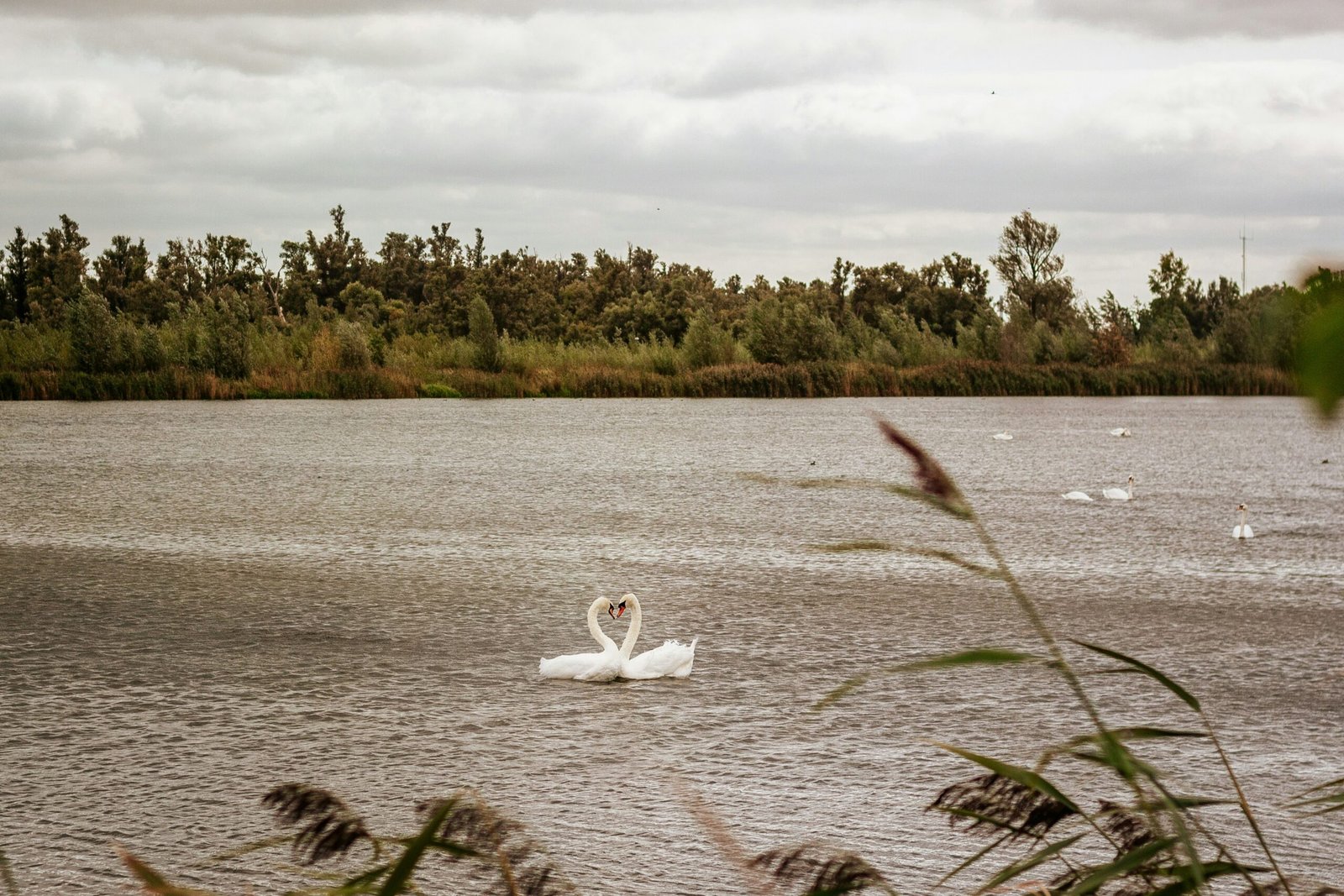 Ga heerlijk varen in de Biesbosch! Huur een elektrische sloep, bezoek MuseumEiland en geniet van streekproducten. Plan jouw dagje uit!