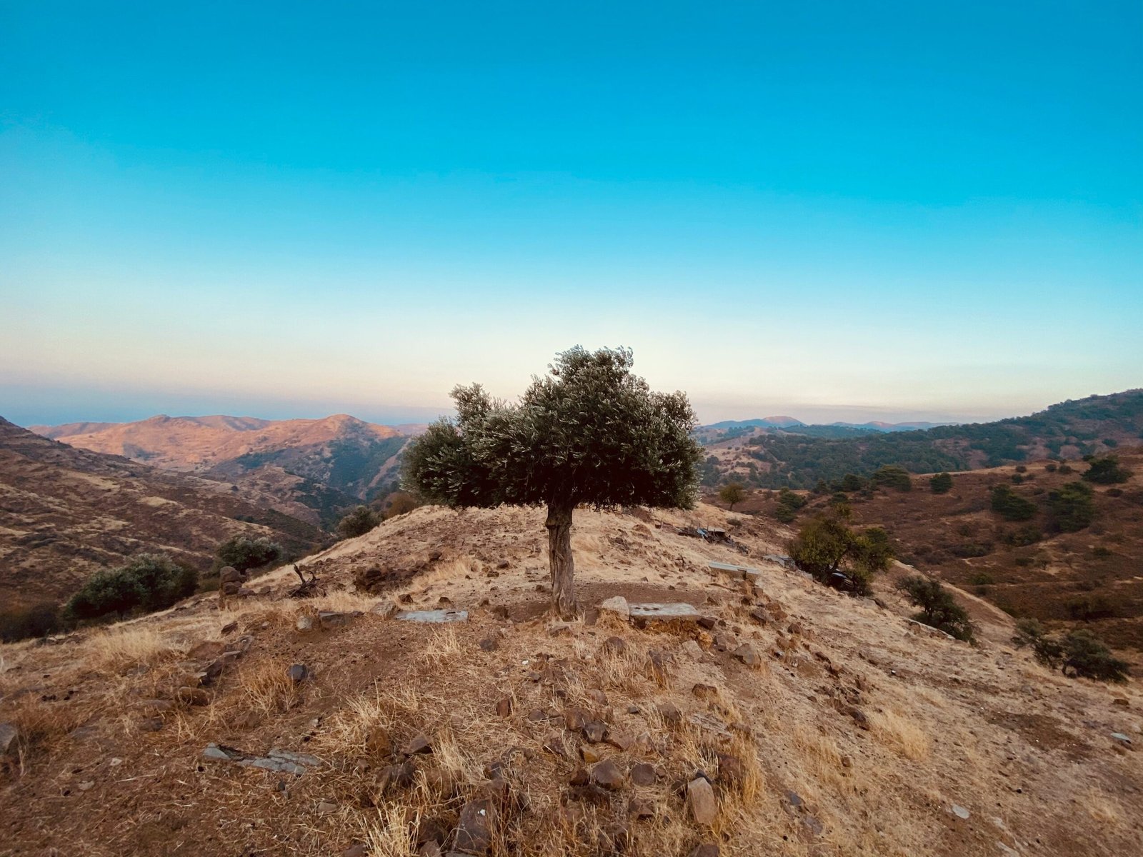 Wijnroutes in Cyprus: