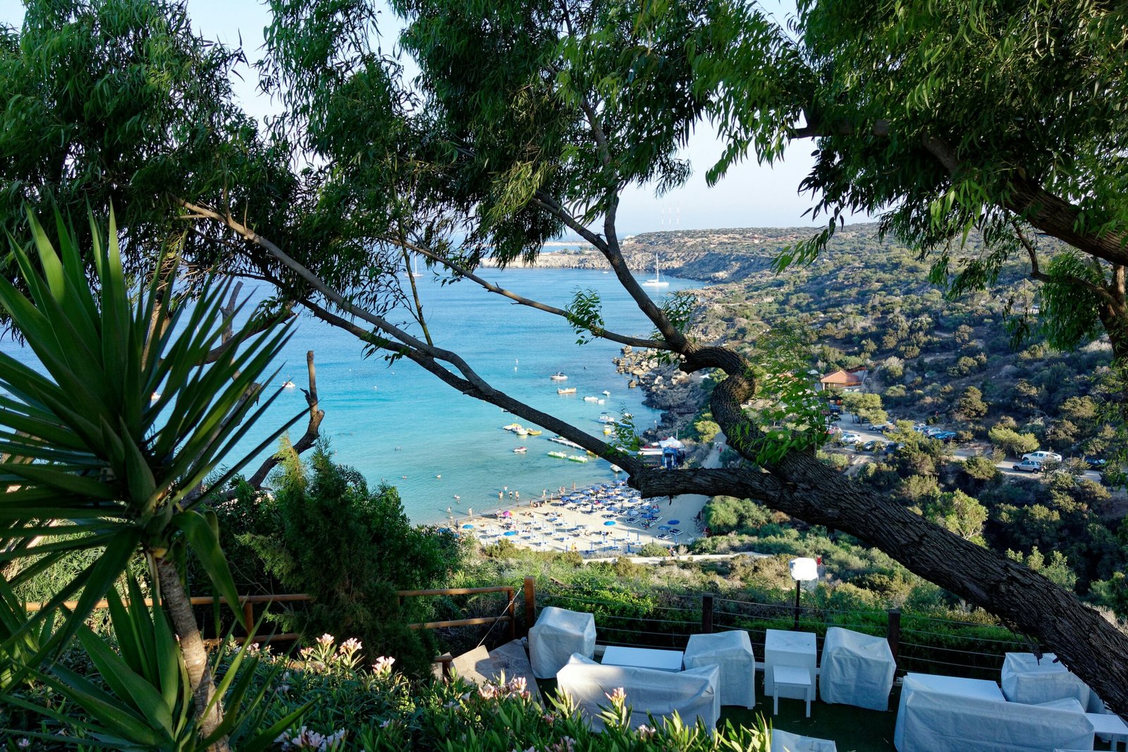 Wijnroutes in Cyprus: