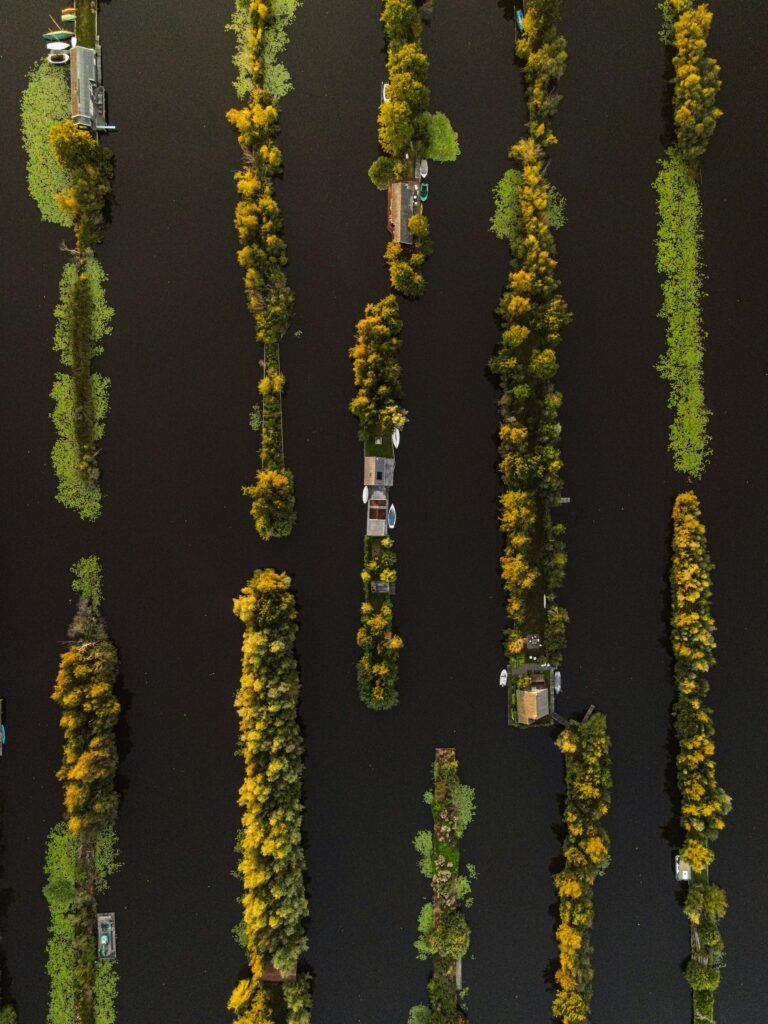 Beleef het ultieme dagje varen vanuit Breukelen over de Vecht en Loosdrechtse Plassen met praktische tips, mooie vaarroutes en de beste horeca aan het water.