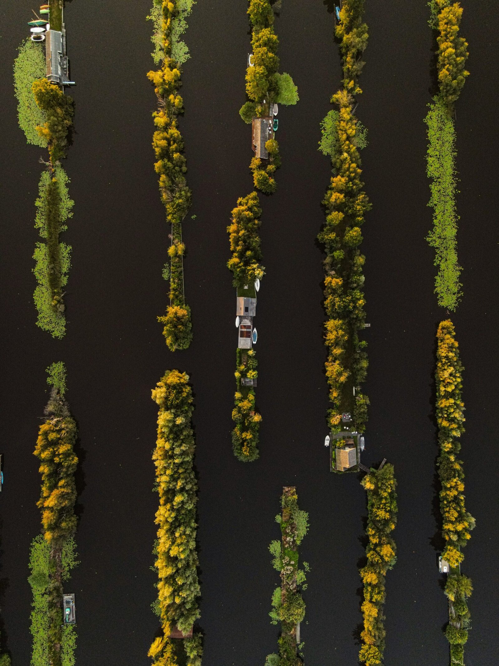 Beleef het ultieme dagje varen vanuit Breukelen over de Vecht en Loosdrechtse Plassen met praktische tips, mooie vaarroutes en de beste horeca aan het water.
