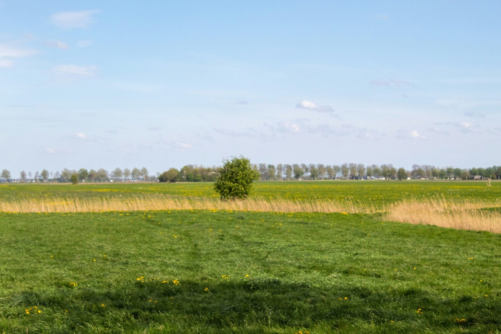 Groningen Bad Nieuweschans