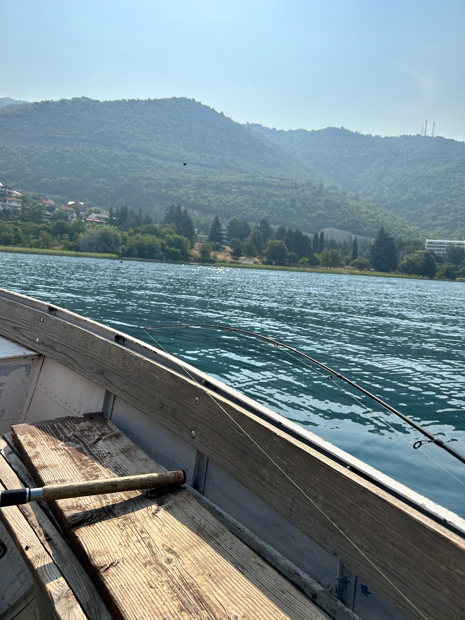 Ohrid fishing