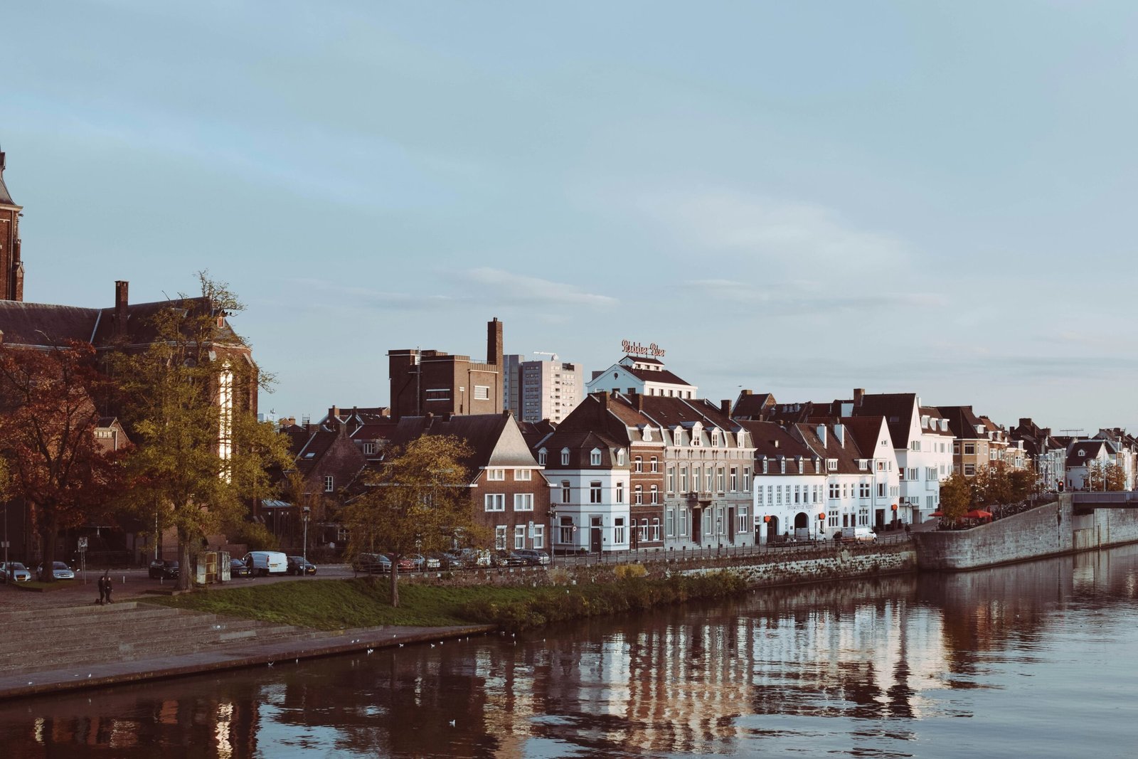Wijngaarden in Zuid-Limburg: