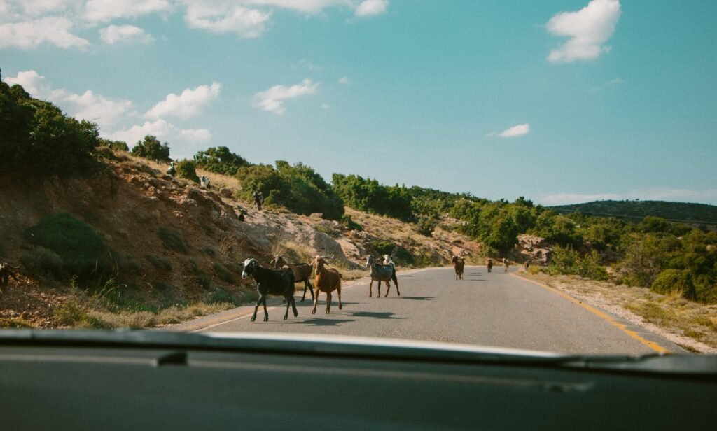 Wijn proeven in Nemea