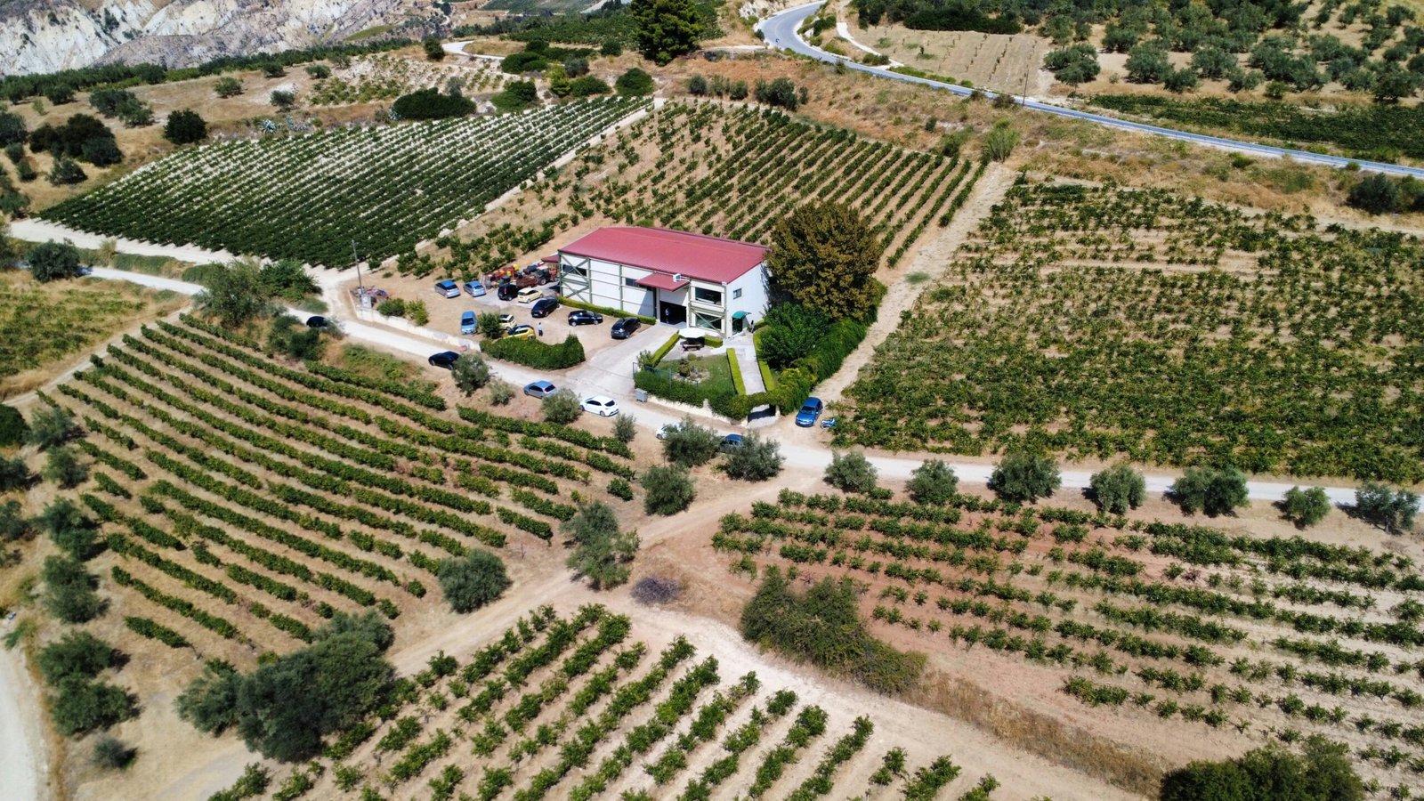 Wijn proeven in Nemea: Winery