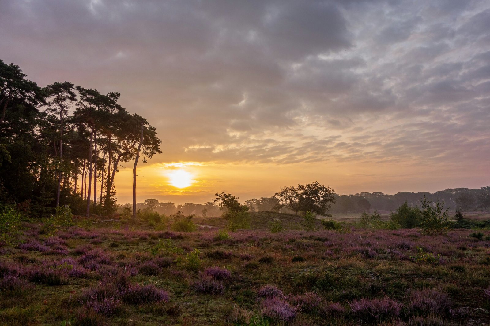 De perfecte ‘Golf & Spa’ dag bij Nijmegen: Heide