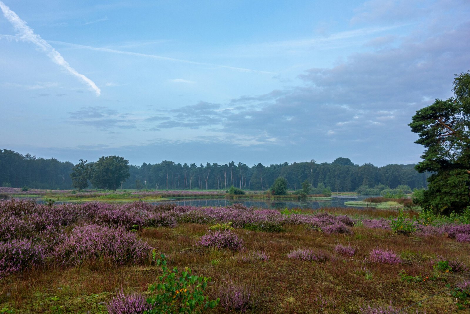 De perfecte ‘Golf & Spa’ dag bij Nijmegen: Heide