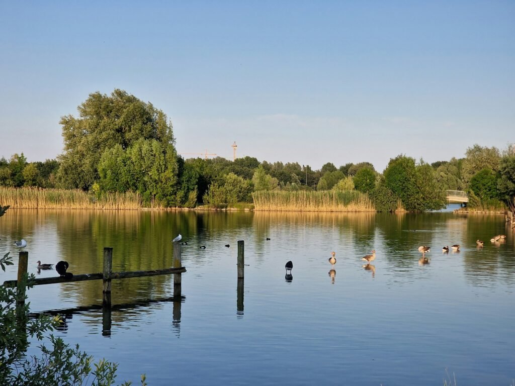 Dagje golf en SPA Utrecht