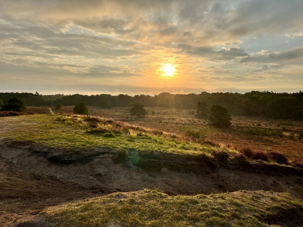 Golfen op de Veluwe
