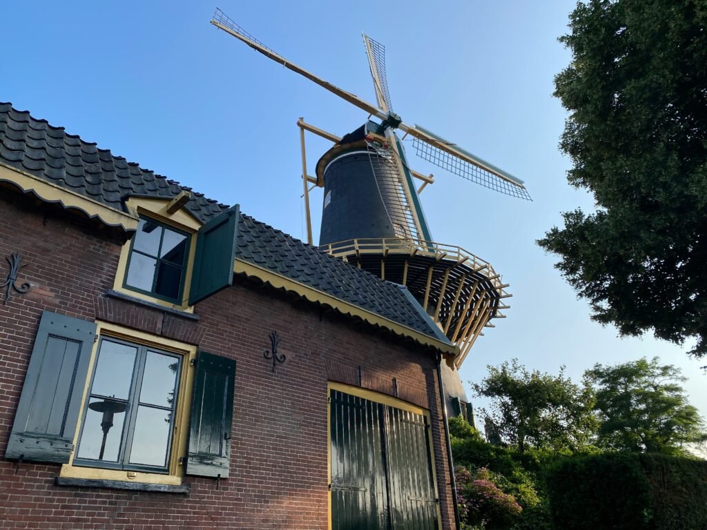 DAgje uit in Woerden