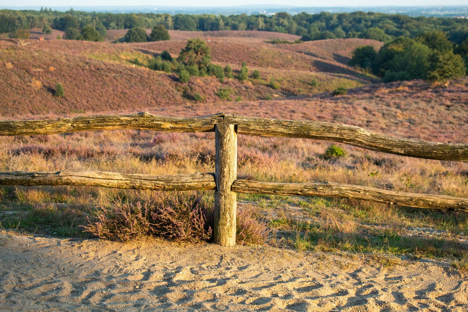 veluwe